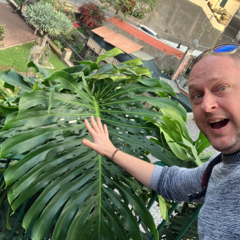 Reuzengroot Monstera blad